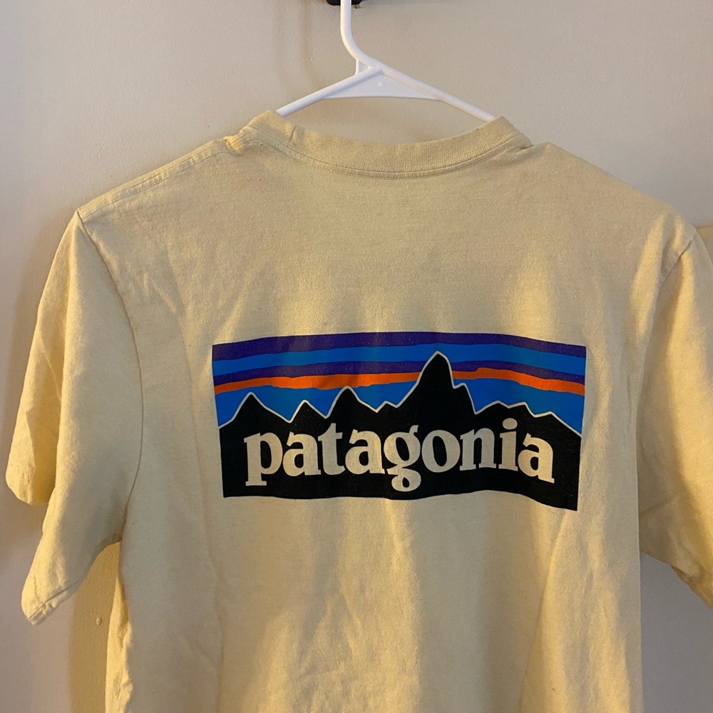 Womens patagonia tshirt